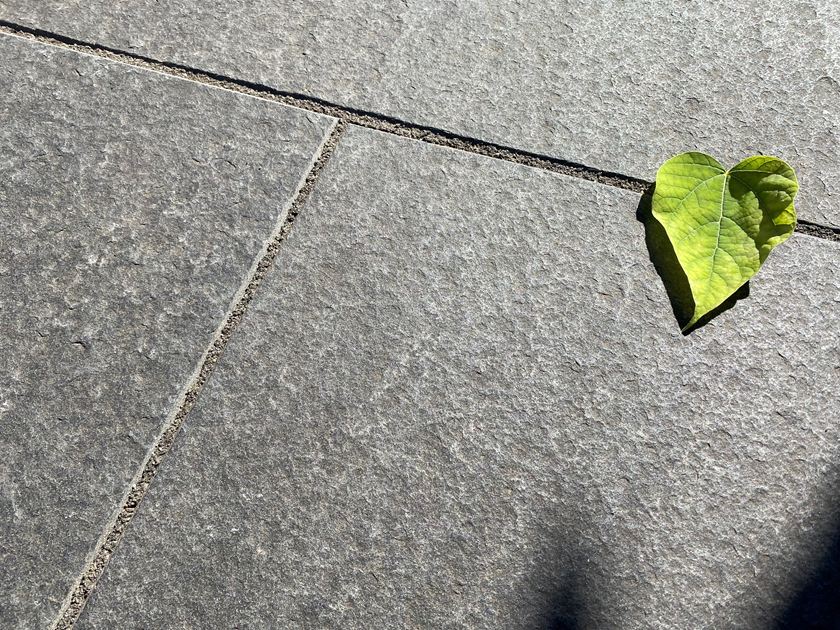 Terasová čedičová deska Takeda shora s listovou výzdobou