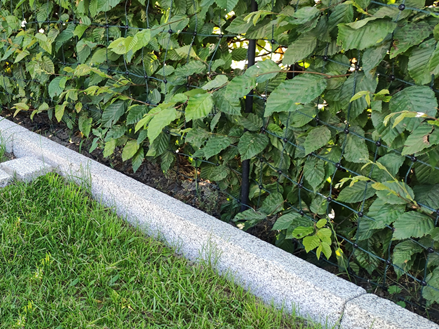 Obrubníky na trávník Silver Granit Classico s trávníkem