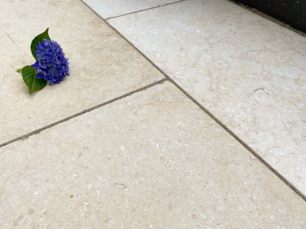 Vápenec-Royal-Beige-Hortensia-schrg3