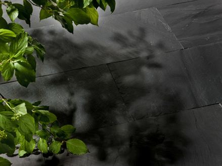 Split Black Rustic břidlicové desky a přírodní větve