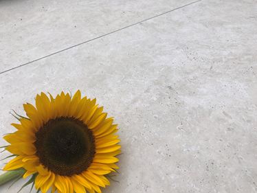 Dlažba Siena travertinového vzhledu se slunečnicí