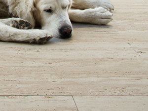 Terasové desky Travertin Natura pes zavřít Galerie 1