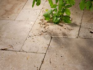 Rustic travertinové desky, tromlované, shora vyčnívá do obrazu zelená větev.