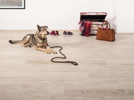 Vstupní prostor s jemnou kamennou dlažbou ve vzhledu dřeva, pes ležící na podlaze, truhla a kabelka v pozadí.