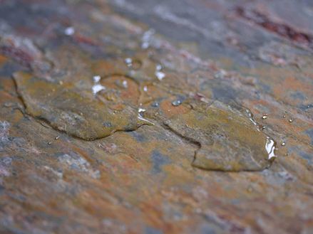 Koupelnová dlažba mokrá01