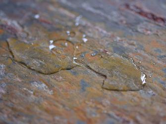 Koupelnová dlažba mokrá01