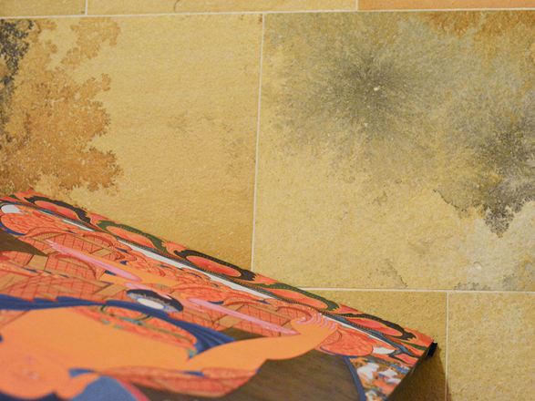 Detailní záběr solnhofenského vápence s fascinujícími inkluzemi