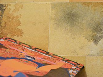 Detailní záběr solnhofenského vápence s fascinujícími inkluzemi