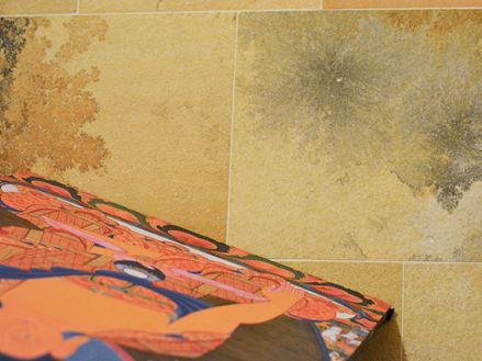 Detailní záběr solnhofenského vápence s fascinujícími inkluzemi