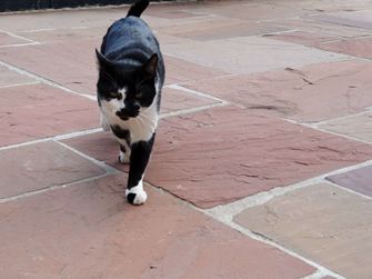 Deska z přírodního kamene Pískovec Modak přirozeně rozdělená spodní strana řezaná08