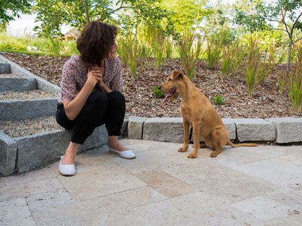 Lidé a psi si užívají krásnou travertinovou podlahu