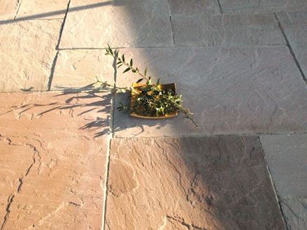 Desky pískovec Modak rozdělit velké